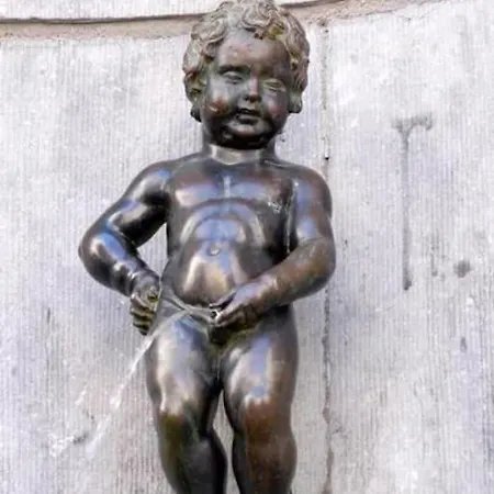 Rive Gauche 39 J Centre - Gare - Aeroport * 샤를루아